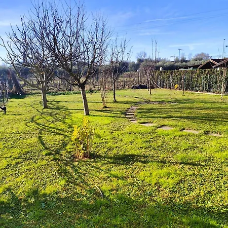Apartment Bilocale Garzella 1